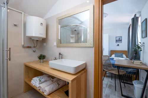 a bathroom with a sink and a mirror at Villa Kalista Istriana in Mednjan