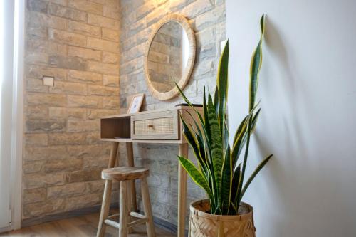 a plant in a room with a stool and a mirror at Adonis Hotel Studios & Apartments in Naousa