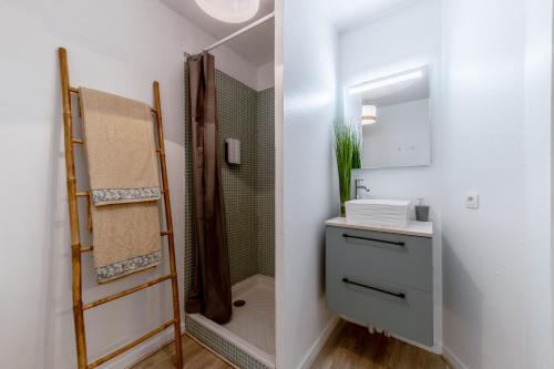 a bathroom with a shower and a sink and a mirror at Charmant et fonctionnel in Talence