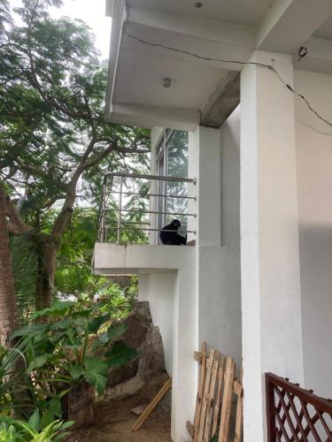 Gallery image of Jungle Beach Restaurant And Hotel-JBR in Galle