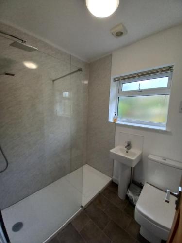 a bathroom with a shower and a toilet and a sink at Penglais Lodge in Aberystwyth