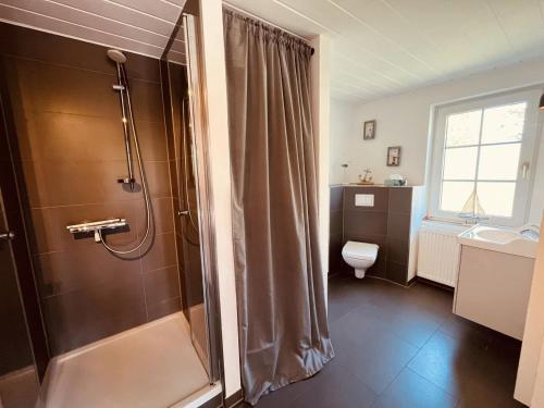 a bathroom with a shower and a toilet at Ferienhaus Ilva in Born in Born