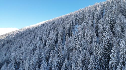 a snow covered mountain side with snow covered trees at Chalet Meise in Obergesteln