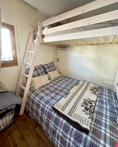 une chambre avec un lit superposé et une échelle dans l'établissement Le Cocon des Cimes 2 à 5 pers., à La Plagne Tarentaise