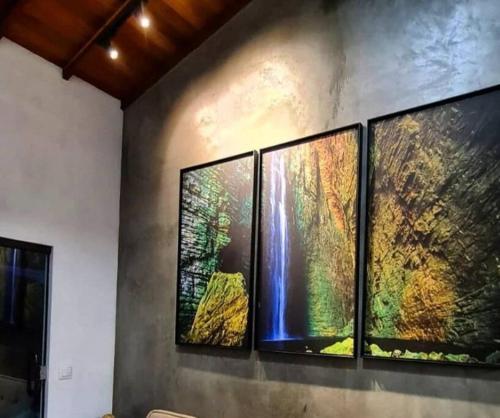 um grupo de quatro pinturas numa parede em Lodge Bella Vista do Canoão em Ibicoara