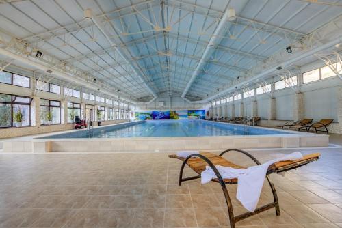 Πισίνα στο ή κοντά στο Mountain View Hot Spring Resort