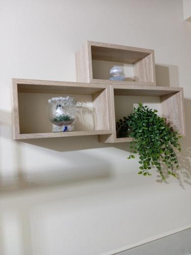 a wooden shelf with a potted plant on it at Monolocale Lucca PellegriniLittleHouse in Lucca