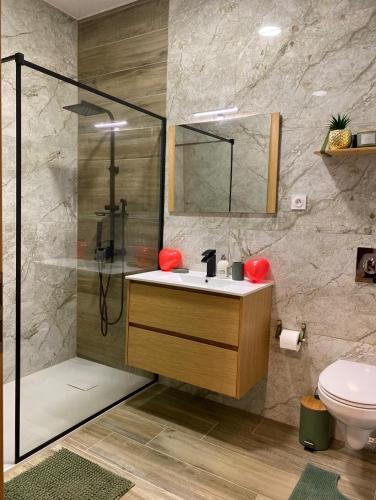 ein Bad mit einer Dusche, einem Waschbecken und einem WC in der Unterkunft So'Spa appart' jacuzzi & bien-être in Lingolsheim
