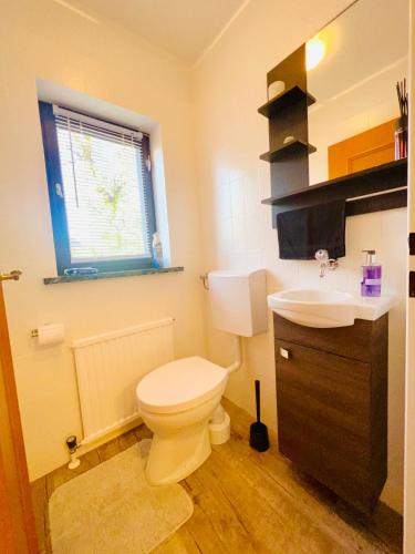 a bathroom with a toilet and a sink at Ferienwohnung Wallmerhof am ländlichen Wimberg in Adnet