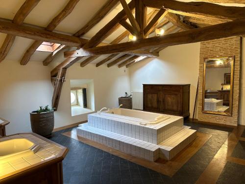 a large bathroom with a large tub and a mirror at Chateau de Mazelieres in Espiens