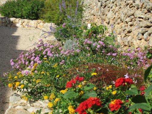 a garden filled with colorful flowers and a stone wall at Masseria Giustiniani in Torricella