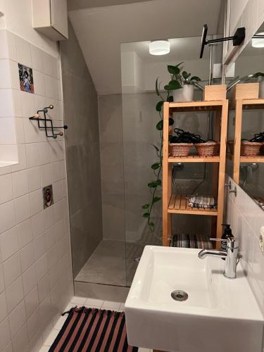 a bathroom with a shower and a sink at Stylische 2 ZWhg in der Altstadt in Mühldorf