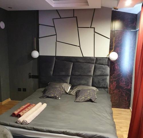 a bed with a headboard and two pillows on it at Carlos Spa in Pančevo