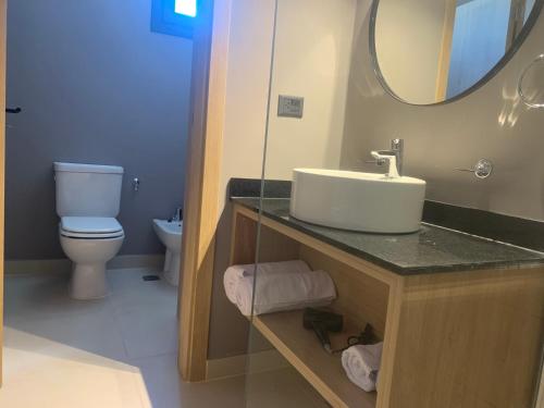 a bathroom with a sink and a toilet and a mirror at Huésped Tandil in Tandil