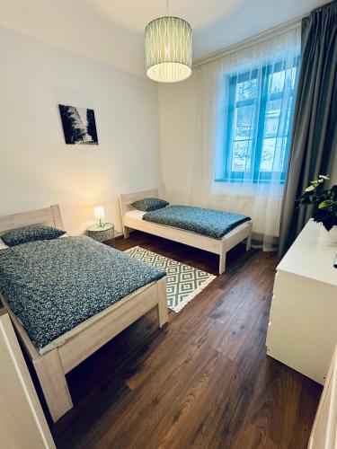 a bedroom with two beds and a window at Stará Škola Mariánská in Albrechtice v Jizerských horách
