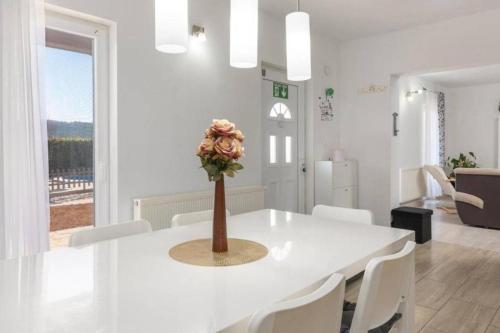 Ruang duduk di Casa Sara and Sasha near Motovun with private pool - pet friendly truffle paradise