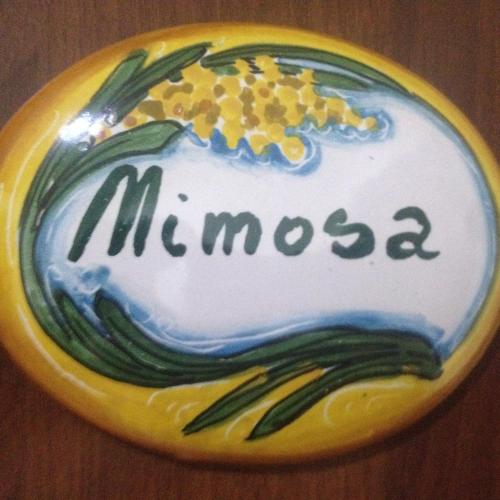 a yellow cookie with the word maccao on it at Il Giardino Di Adriana in Terracina