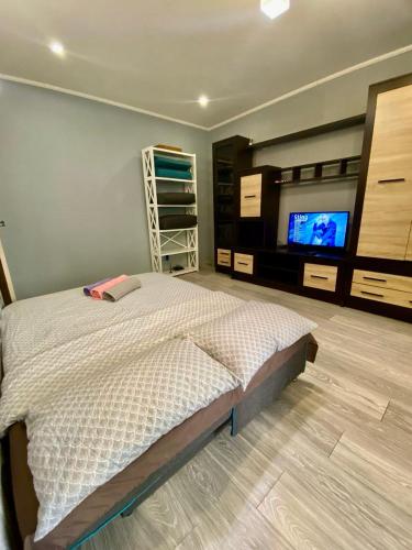 a bedroom with a bed and a flat screen tv at Апартаменти на Поштовій площі in Kyiv