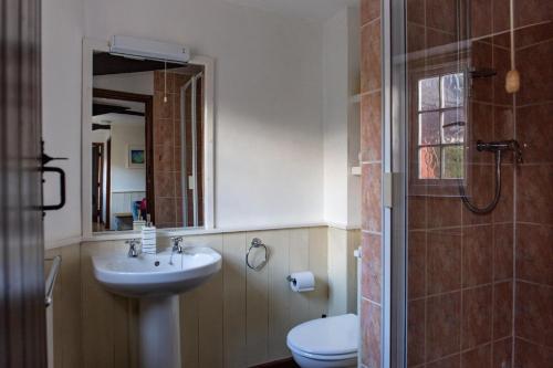 a bathroom with a sink and a toilet and a shower at The Stables in Hartland