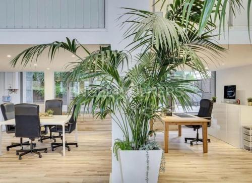 ein Büro mit einem Tisch und einer Palmenpflanze in der Unterkunft apartamento exclusivo muy cerca ciudad Barcelona in Badalona