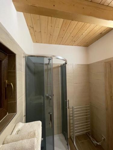 La salle de bains est pourvue d'une douche et d'un plafond en bois. dans l'établissement Bydlení v zahradě, à Bratronice