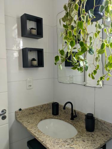 a bathroom sink with a mirror and a potted plant at Cantinho Estilo in Santa Maria
