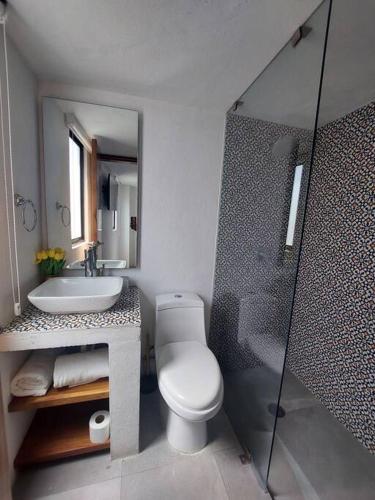 a bathroom with a toilet and a sink and a shower at Casa Monarcas - Diana (with AC) in Guadalajara