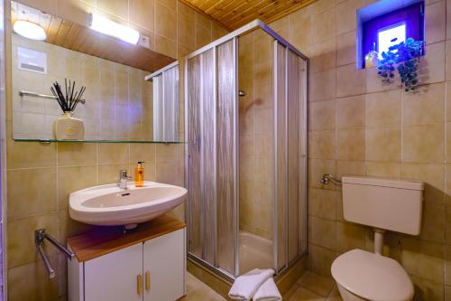 a bathroom with a shower and a sink and a toilet at Landhaus BERGSEE in Bodensdorf
