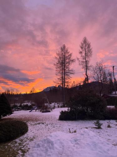 a sunset with snow and trees in a field at Willa Maria in Kościelisko