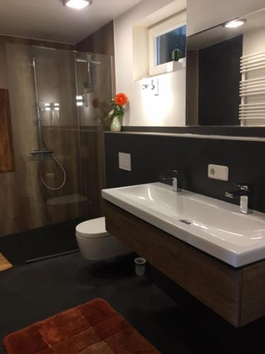 ein Bad mit einem Waschbecken, einer Dusche und einem WC in der Unterkunft Ferienwohnung Stenzel 2 in Laer