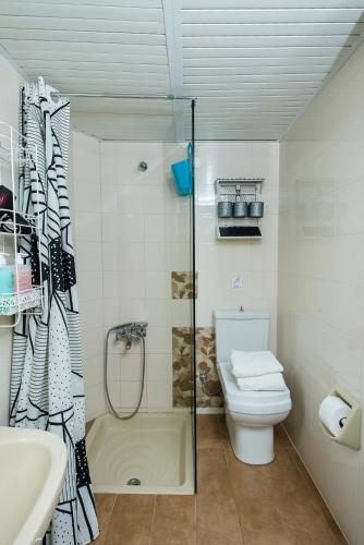 a bathroom with a shower and a toilet and a sink at Arodamos Studios & Apts in Kissamos