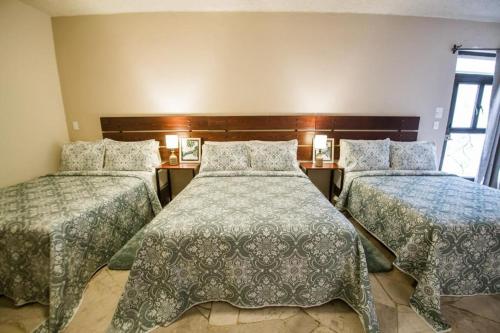 Cama o camas de una habitación en Hotel Camino de Allende