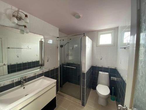 a bathroom with a shower and a toilet and a sink at Phuket Latika Mansion by Andaman Home in Phuket Town