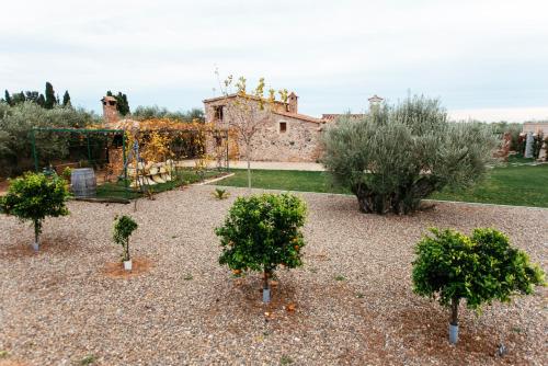 einen Garten mit Bäumen und Sträuchern vor einem Gebäude in der Unterkunft Casa Hostalets - Renovated casa in the middle of the olive trees near the beach in Riudoms