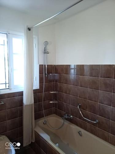 une salle de bain avec baignoire et douche dans l'établissement Pinède du Mitan piscine chauffée privée, à La Motte