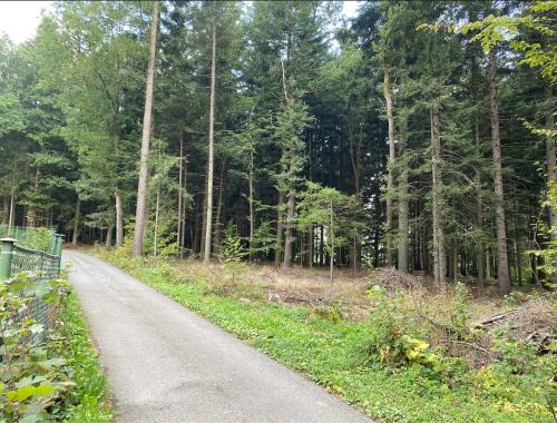 a road in the middle of a forest at LaČeladná - Tinystudio in Čeladná