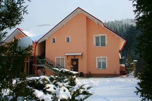 een oranje huis met sneeuw op de grond bij Zoriana in Tatariv