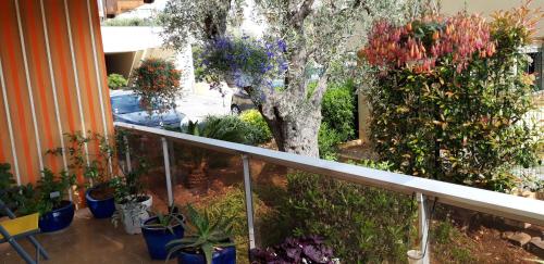 a balcony with a bunch of potted plants and a tree at Chez Roland in Nice