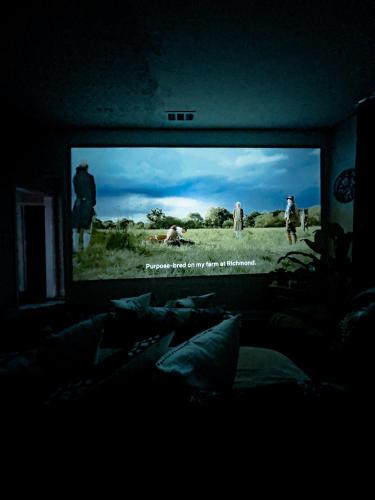 Zen Cinema – Photos 4
