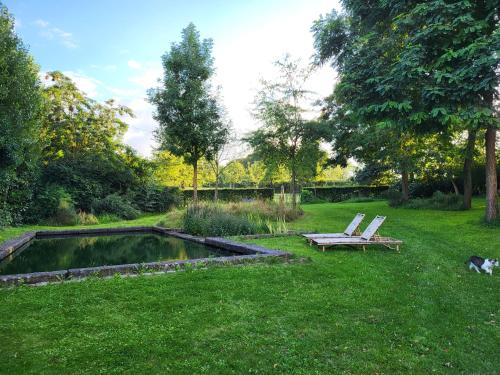 a couple of chairs sitting in the grass next to a pond at Charming and cosy ART DECO house in old historic farm with private natural pool and gardens with hiking and cycling trails nearby in Sint-Truiden