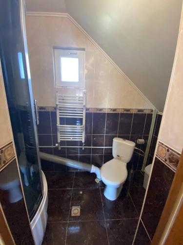 a bathroom with a toilet and a window at Відпочинок в Карпатах in Nizhne-Studënyy