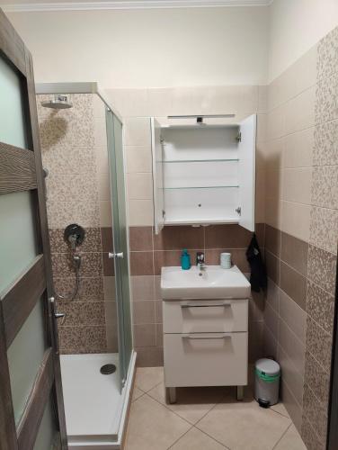a small bathroom with a sink and a shower at Villa Pirken Hammer in Pirkenhammer