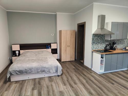 a large bedroom with a bed and a kitchen at Villa Pirken Hammer in Pirkenhammer