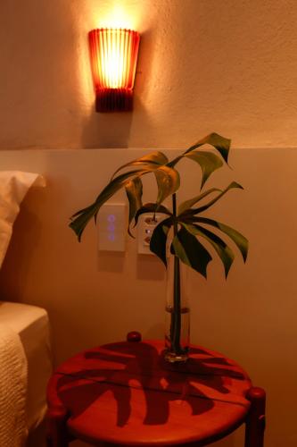 a plant in a vase on a table next to a bed at AL MAR SUÍTES in Praia do Forte