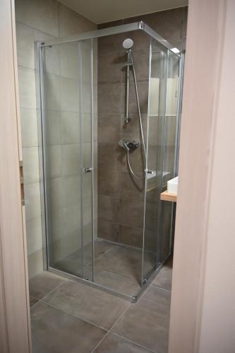 a shower with a glass door in a bathroom at Apartmán PERLA 28, Říčky in Říčky