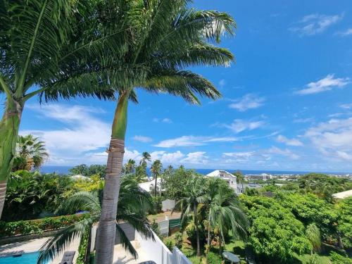un palmier avec l'océan en arrière-plan dans l'établissement Villa Fleur de Coco - 8p. - piscine privée - haut standing, à Saint-Pierre