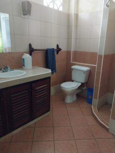 ein Bad mit einem WC und einem Waschbecken in der Unterkunft Dosi lounge in Ukunda