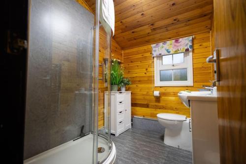 een badkamer met een douche, een toilet en een wastafel bij Rural Log Cabin Retreat near Coed y Brenin by Seren Short Stays in Ffestiniog