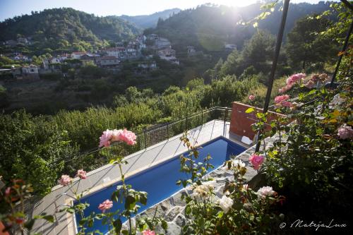 a view of the valley from a house with flowers at Ambelikos Traditional Agrohotel in Potamitissa