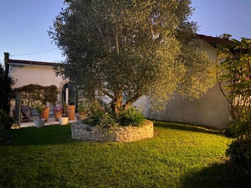 Κήπος έξω από το La Bastide de Guiche Entre Océan et montagnes